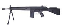 Classic Army CA53 TakTik Rifle
